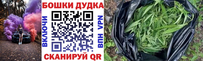 А ПВП Лермонтов