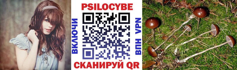 Псилоцибиновые грибы ЛСД  купить   мега маркетплейс  Лермонтов 